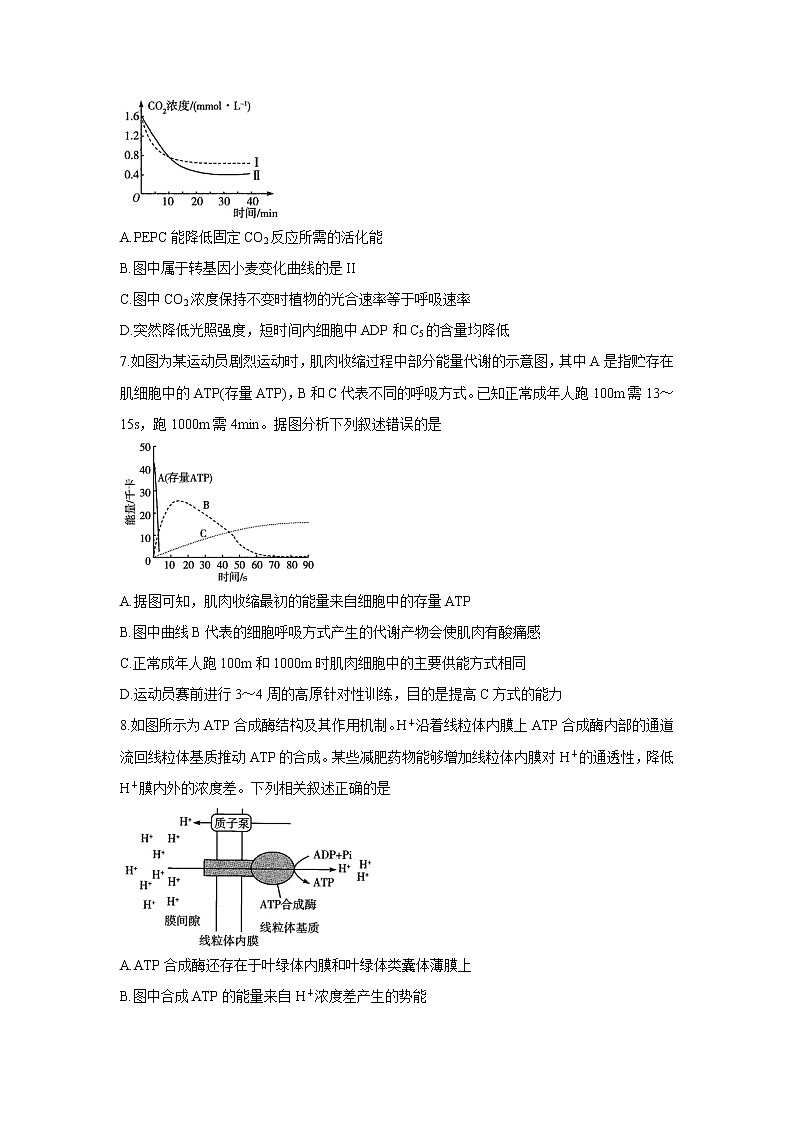 河南省天一大联考2022届高三上学期阶段性测试（二） 生物 含解析03