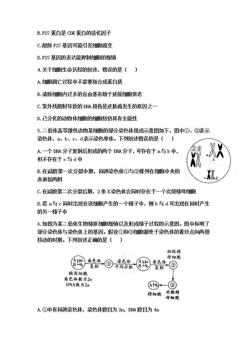 山东省济南市平阴县第一中学2022届高三上学期10月月考生物试题 含答案第2页