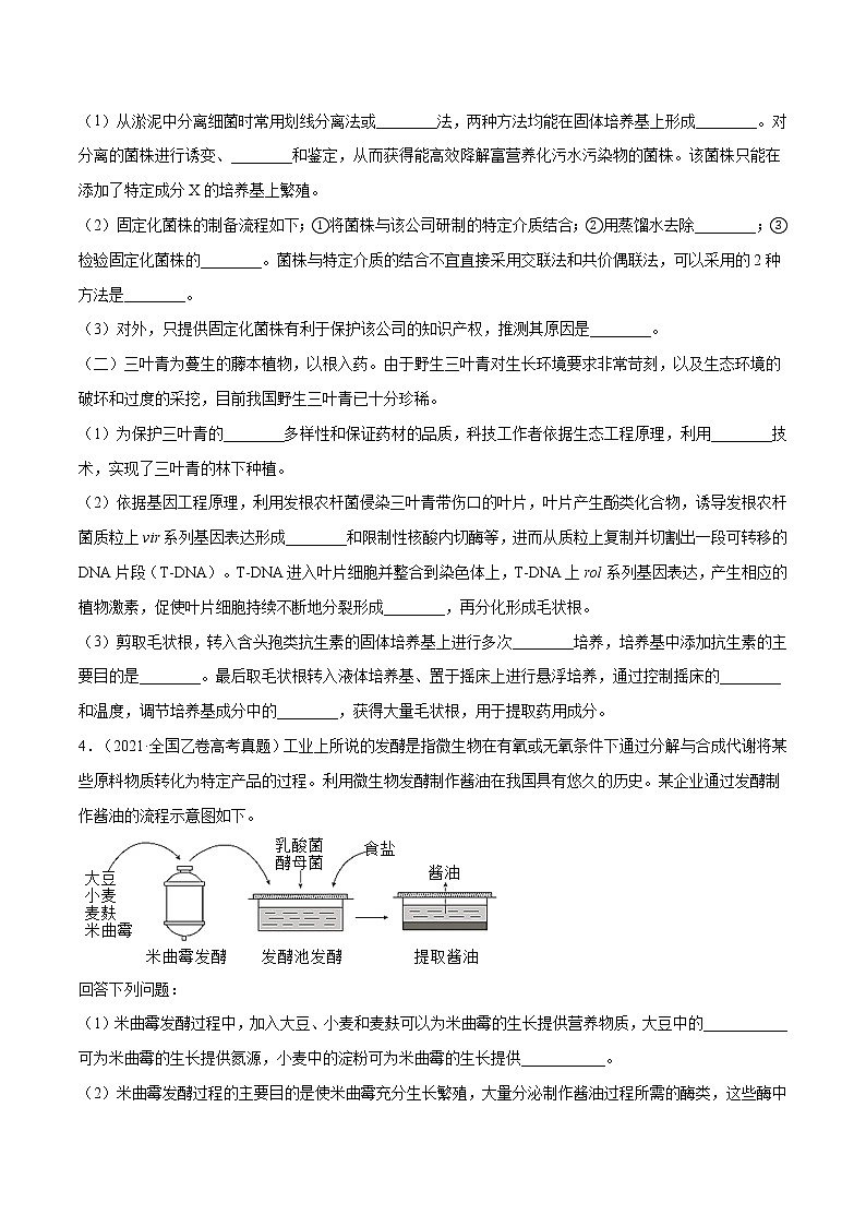 专题11 生物技术实践-十年（2012-2021）高考生物真题分项汇编（全国通用）（原卷版）第2页