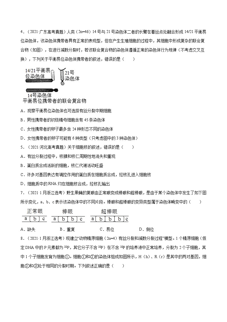 专题03 细胞的生命历程-十年（2012-2021）高考生物真题分项汇编（全国通用）（原卷版）第2页