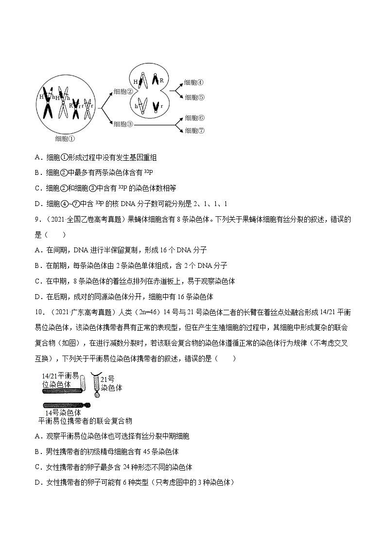 专题03 细胞的生命历程-十年（2012-2021）高考生物真题分项汇编（全国通用）（原卷版）第3页