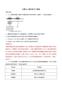 专题04 遗传的分子基础-十年（2012-2021）高考生物真题分项汇编（全国通用）（解析版）