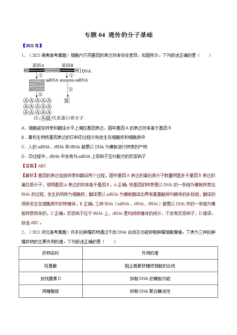 专题04 遗传的分子基础-十年（2012-2021）高考生物真题分项汇编（全国通用）（解析版）01