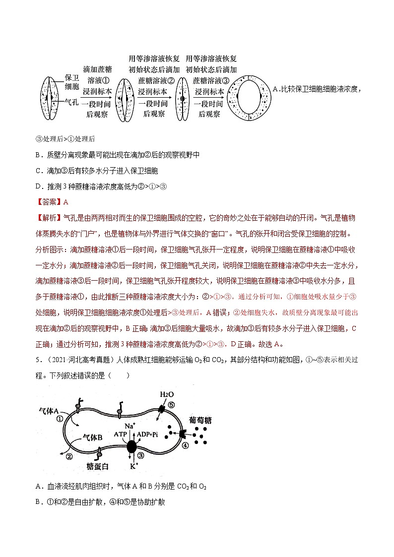 专题02 细胞的能量与代谢-十年（2012-2021）高考生物真题分项汇编（全国通用）（解析版）第3页