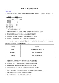 专题04 遗传的分子基础-十年（2012-2021）高考生物真题分项汇编（全国通用）（原卷版）