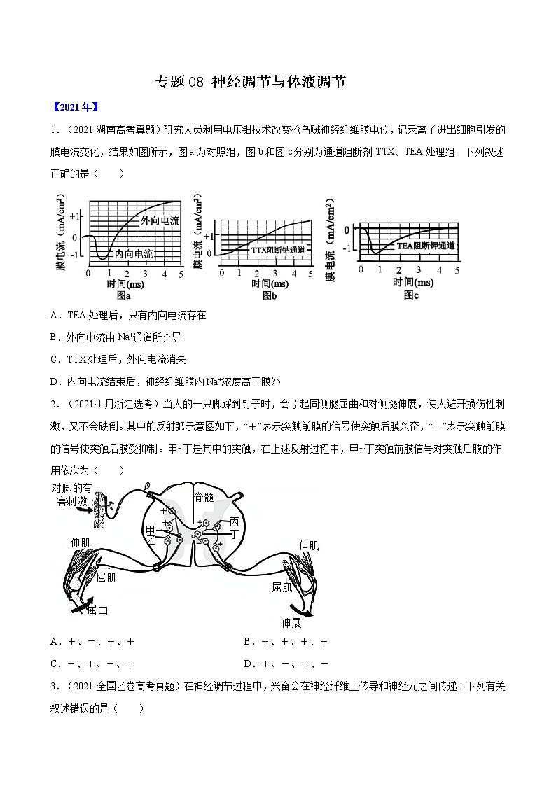 专题08 神经调节与体液调节-十年（2012-2021）高考生物真题分项汇编（全国通用）（原卷版）第1页