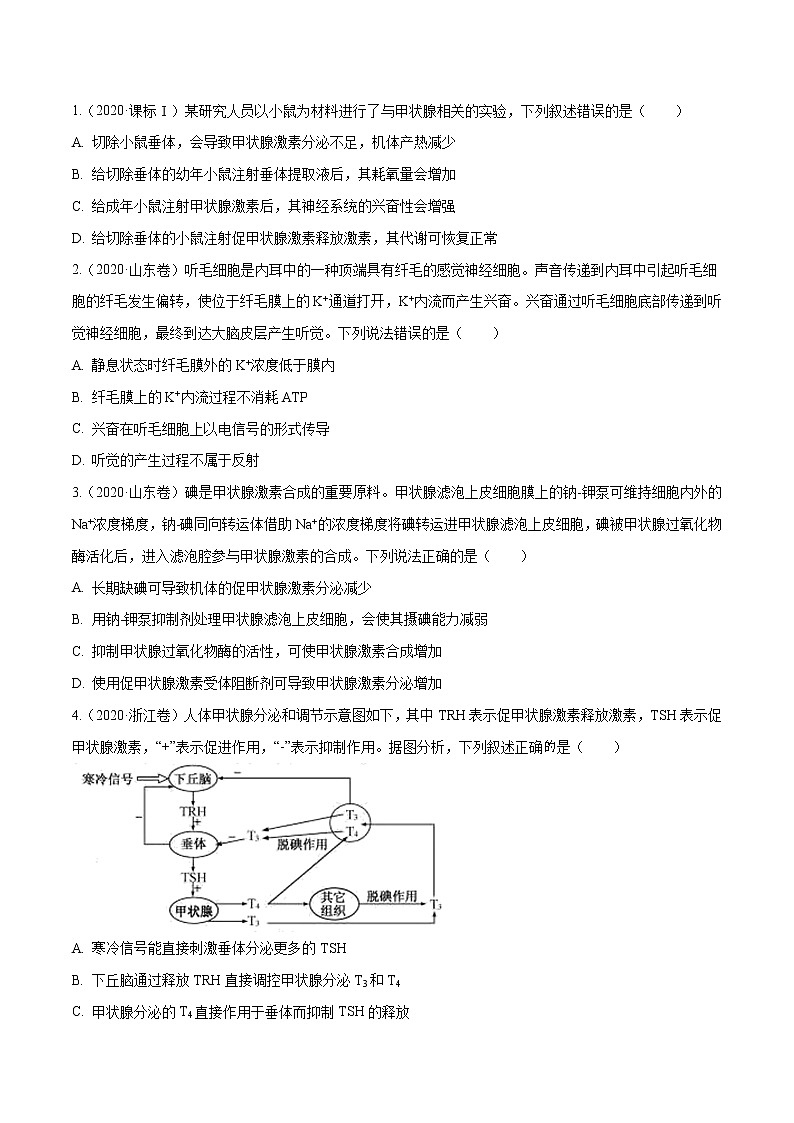专题08 神经调节与体液调节-十年（2012-2021）高考生物真题分项汇编（全国通用）（原卷版）第3页
