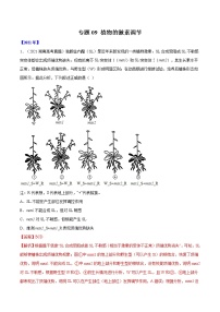 专题09 植物的激素调节-十年（2012-2021）高考生物真题分项汇编（全国通用）（解析版）