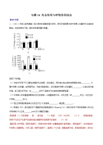 专题14 光合作用与呼吸作用综合-十年（2012-2021）高考生物真题分项汇编（全国通用）（解析版）