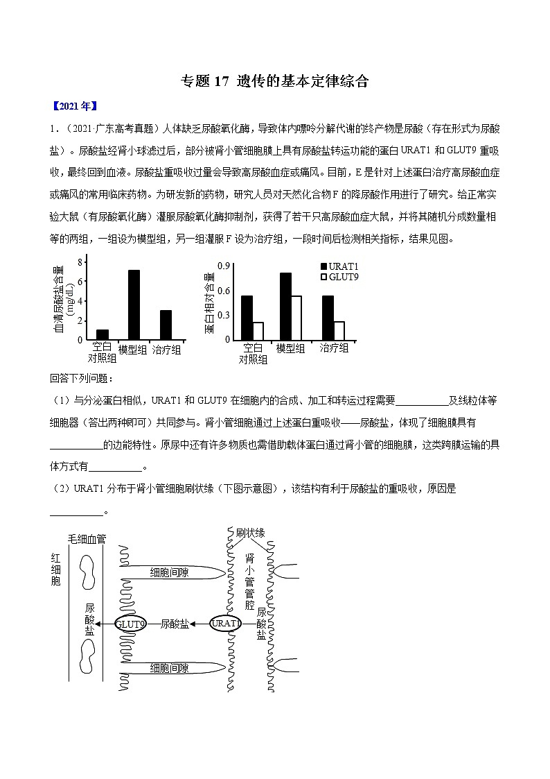专题17 遗传的基本定律综合-十年（2012-2021）高考生物真题分项汇编（全国通用）（原卷版）01