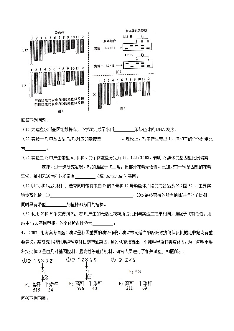 专题17 遗传的基本定律综合-十年（2012-2021）高考生物真题分项汇编（全国通用）（原卷版）03