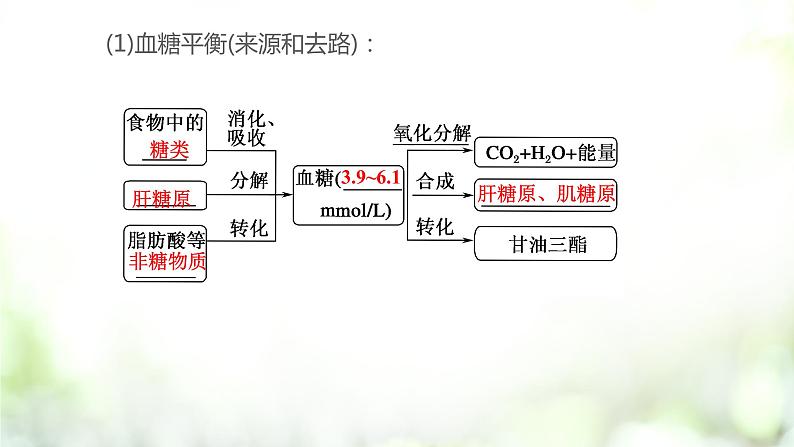 3.2 激素调节的过程课件PPT05