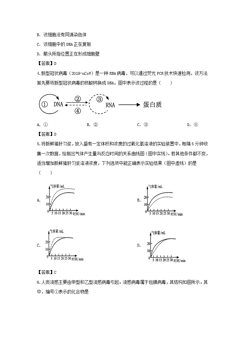 2020年上海市金山区高三二模生命科学试卷及答案02