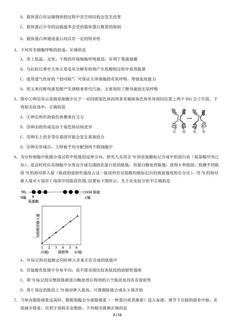 2020年北京市朝阳区高三二模生物试题及答案02