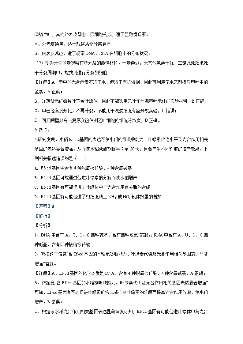 2020年山东省聊城高三一模生物试卷及答案第3页