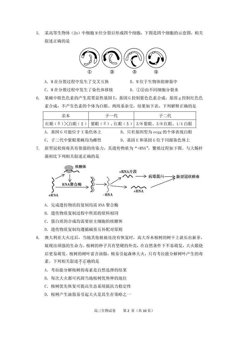 2020年北京市顺义区高三二模生物试题及答案02