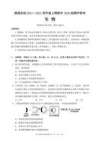 四川省蓉城名校联盟2021-2022学年高二上学期期中联考生物试题 PDF版含答案