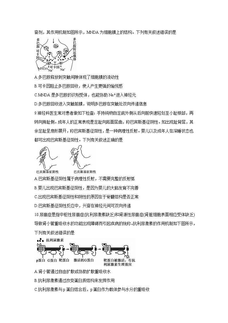 湖南省湖湘大联考2021-2022学年高二上学期10月大联考 生物 含答案第3页
