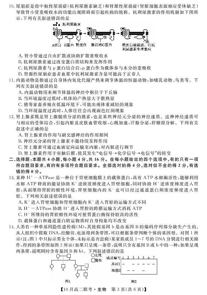 湖南省2021-2022年度高二10份大联考生物试卷第3页