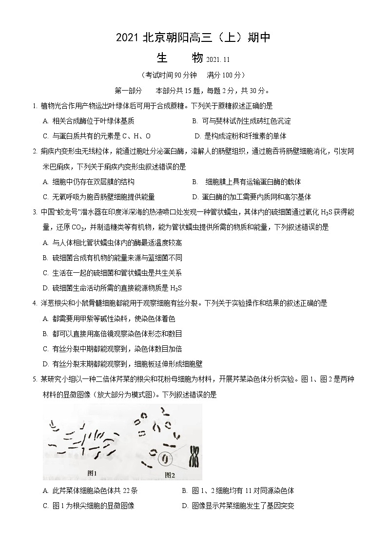 北京市朝阳区2021--2022学年高三上学期期中生物【试卷+答案】01