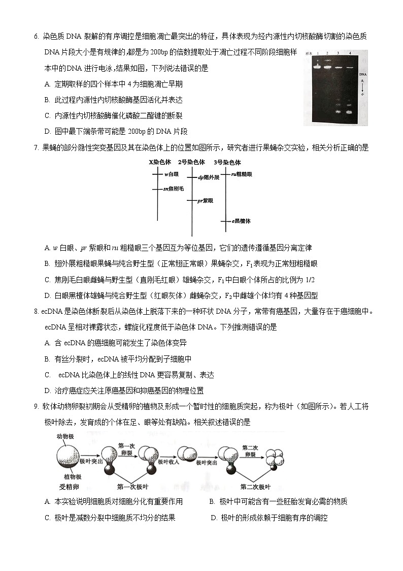 北京市朝阳区2021--2022学年高三上学期期中生物【试卷+答案】02