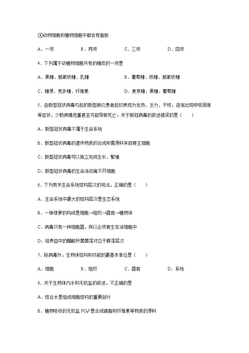 辽宁省沈阳市辽中区新时代高中2021-2022学年高一生物上学期期中考试生物【试卷+答案】第2页