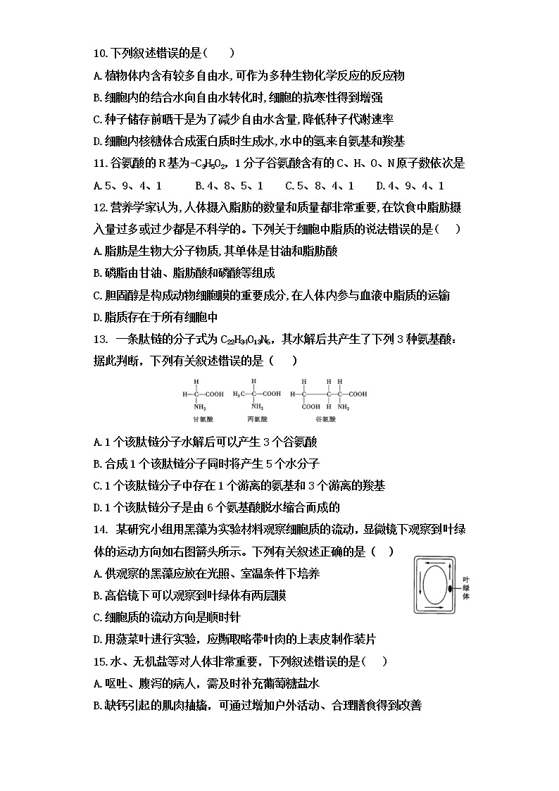 黑龙江省佳木斯市第一中学2021-2022学年高一上学期期中考试生物试题03