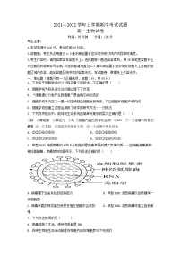 河南省焦作市县级重点中学2021-2022学年高一上学期期中考试生物试题