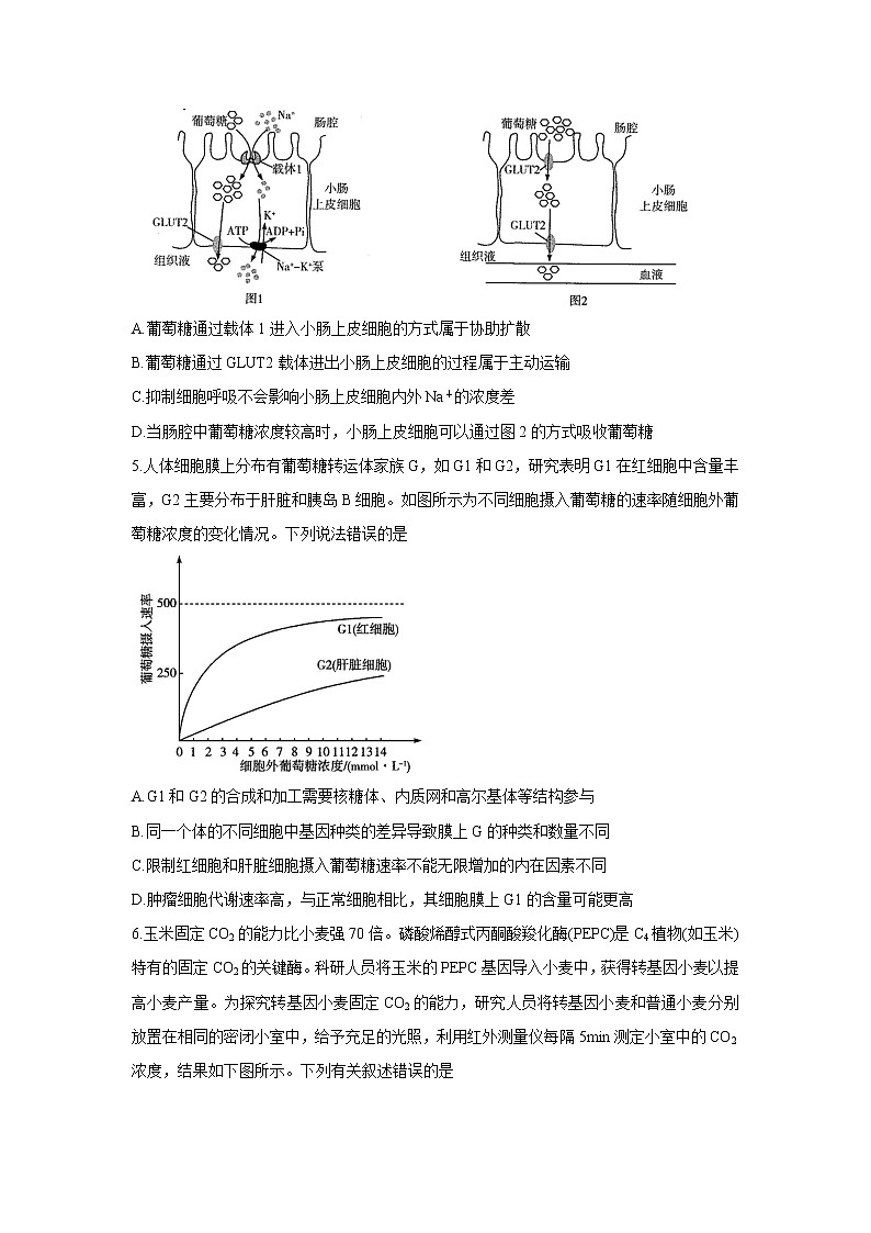 河南省天一大联考2022届高三上学期阶段性测试（二） 生物 含解析bychun02