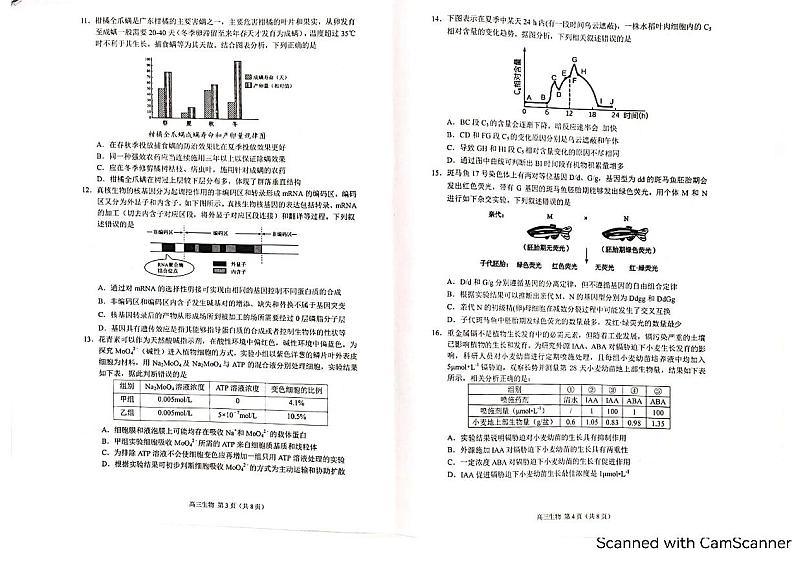 生物试题第2页