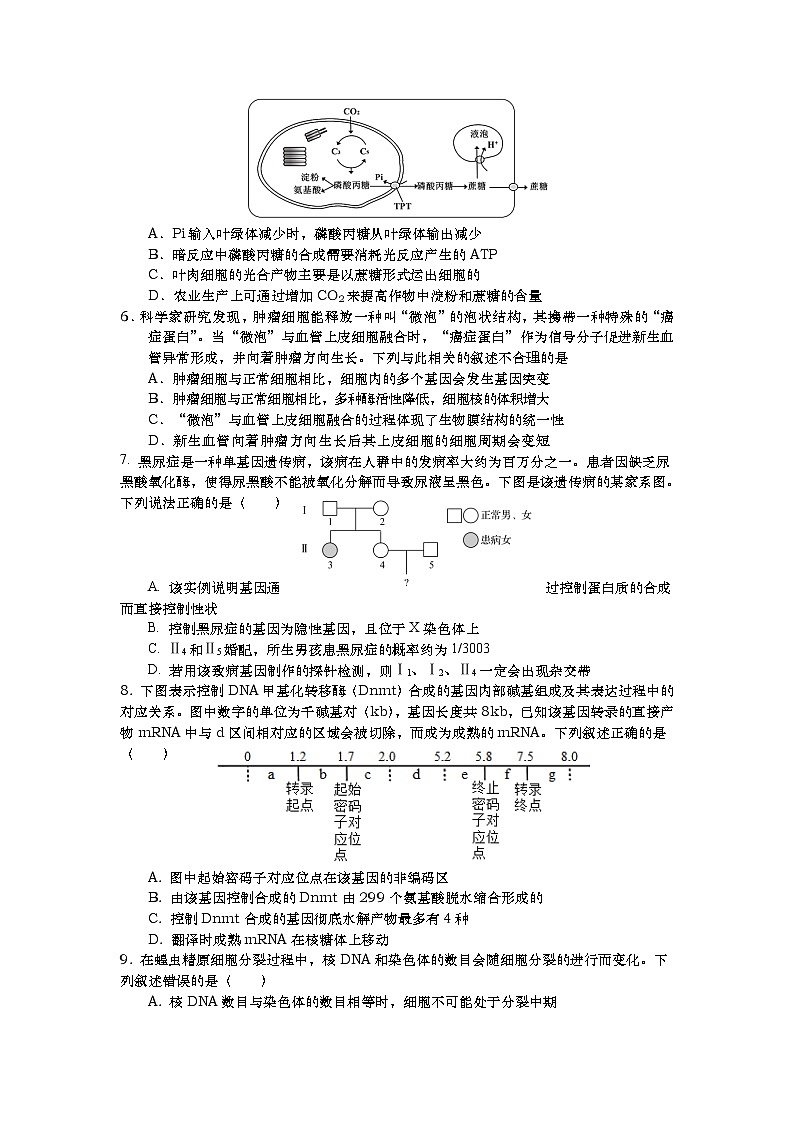 江苏省如皋中学2022届高三上学期10月第一次阶段考试生物试题 含答案第2页