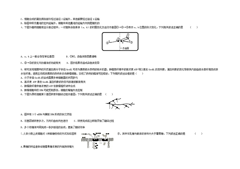 江苏省盐城市阜宁中学2022届高三上学期第二次阶段检测生物试题 含答案第2页