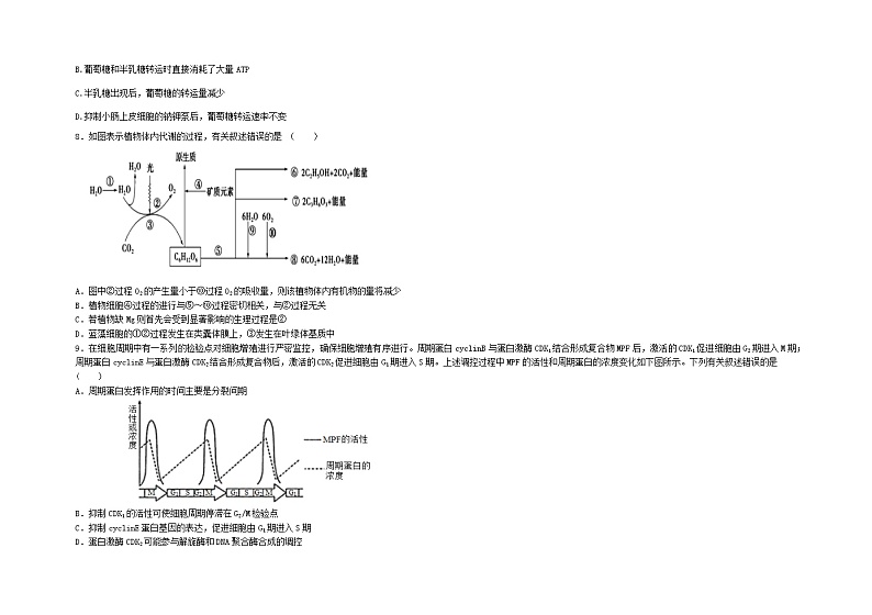 江苏省盐城市阜宁中学2022届高三上学期第二次阶段检测生物试题 含答案第3页