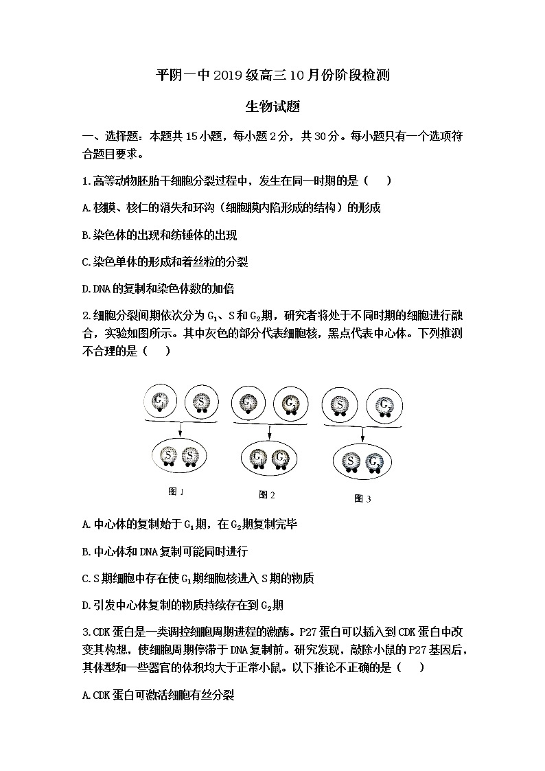 山东省济南市平阴县第一中学2022届高三上学期10月月考生物试题 含答案01
