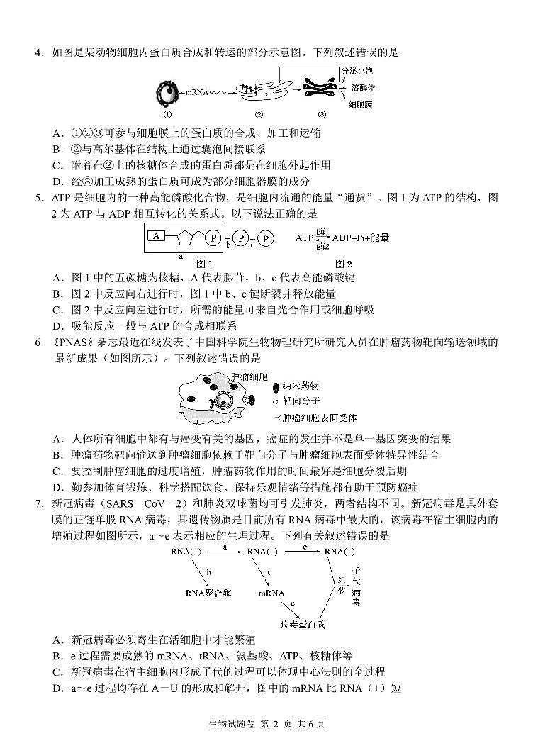 湖南省湖湘教育三新探索协作体2022届高三上学期11月期中联考试题 生物 PDF版含解析02