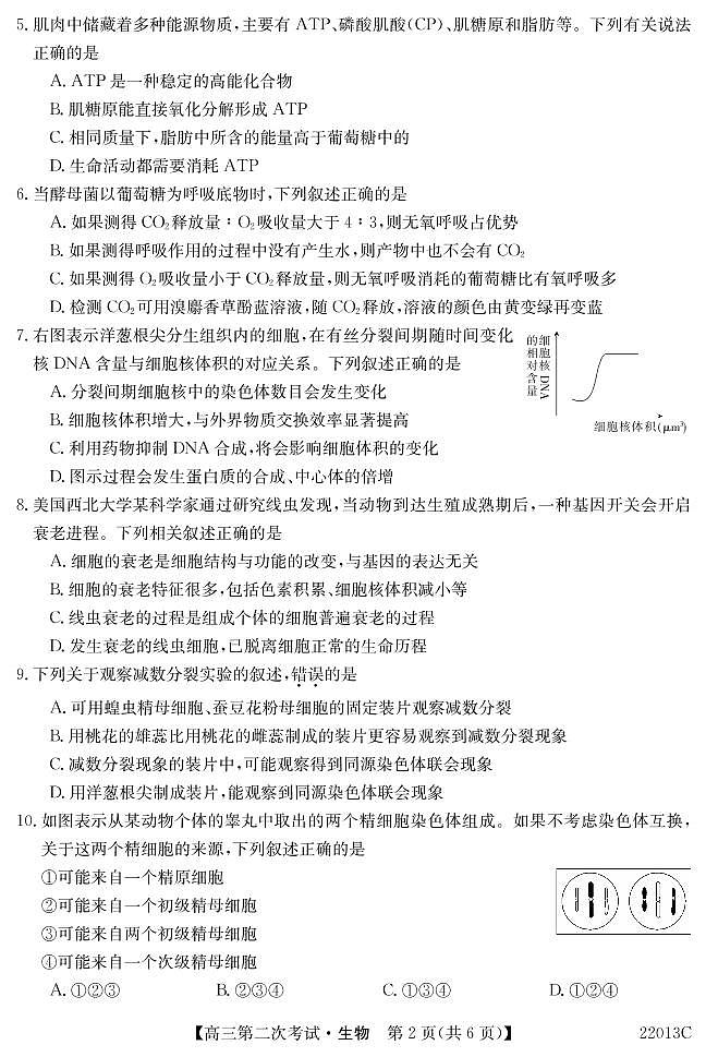 辽宁省渤海大学附属高级中学2022届高三上学期第二次月考生物试题 PDF版含答案第2页