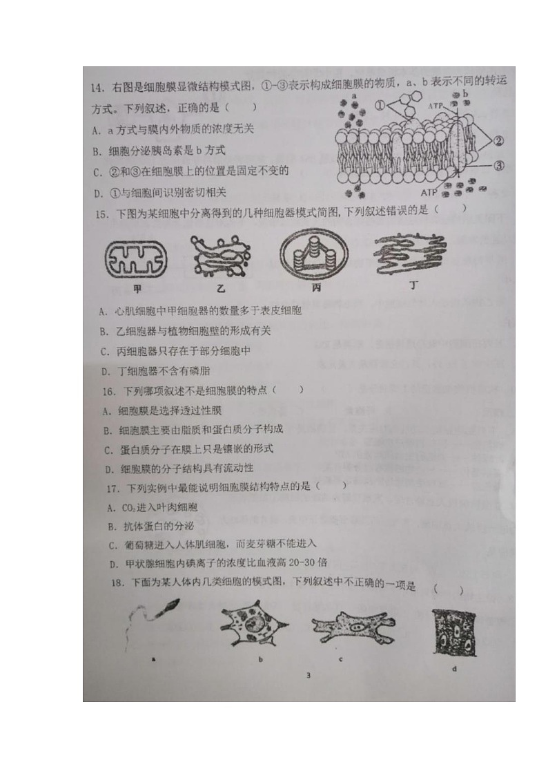 江苏省盐城市伍佑中学2021-2022学年高二上学期第一次阶段考试生物（必修）试题 扫描版含答案03