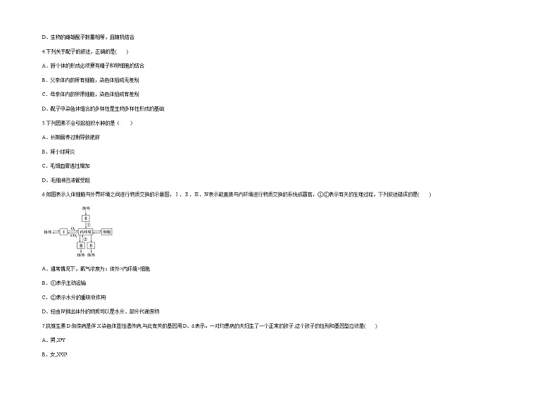 新疆维吾尔自治区喀什第六中学2021-2022学年高二上学期期中模拟生物试题（B卷） 含答案02