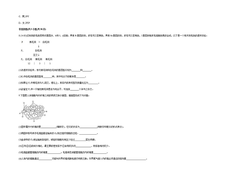 新疆维吾尔自治区喀什第六中学2021-2022学年高二上学期期中模拟生物试题（B卷） 含答案03