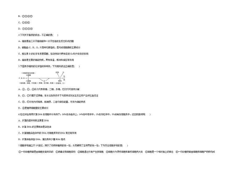 新疆维吾尔自治区喀什第六中学2021-2022学年高一上学期期中模拟生物试题（B卷） 含答案02