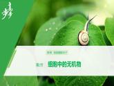 细胞中的无机物PPT课件免费下载