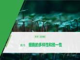 2020年高中生物新教材同步必修第一册 第1章 第2节　细胞的多样性和统一性课件PPT