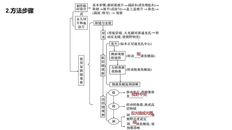 2020年高中生物新教材同步必修第一册 第1章 第2节　细胞的多样性和统一性课件PPT第6页