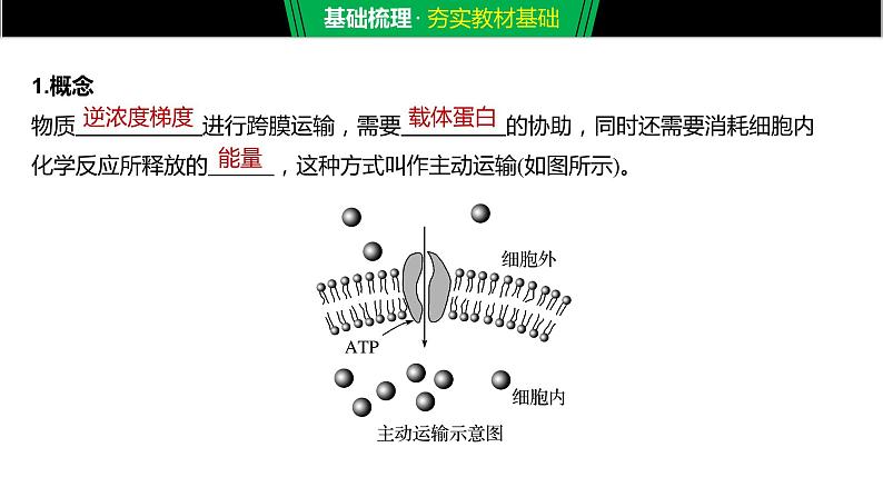 2020年高中生物新教材同步必修第一册 第4章 第2节　主动运输与胞吞、胞吐课件PPT第5页