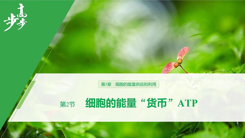 2020年高中生物新教材同步必修第一册 第5章 第2节　细胞的能量“货币”ATP课件PPT第1页