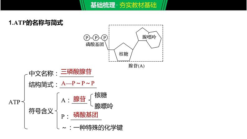 2020年高中生物新教材同步必修第一册 第5章 第2节　细胞的能量“货币”ATP课件PPT第5页