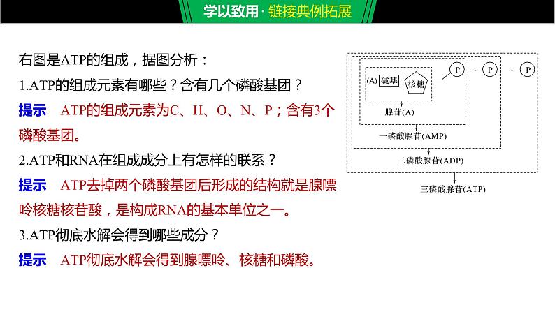 2020年高中生物新教材同步必修第一册 第5章 第2节　细胞的能量“货币”ATP课件PPT第8页