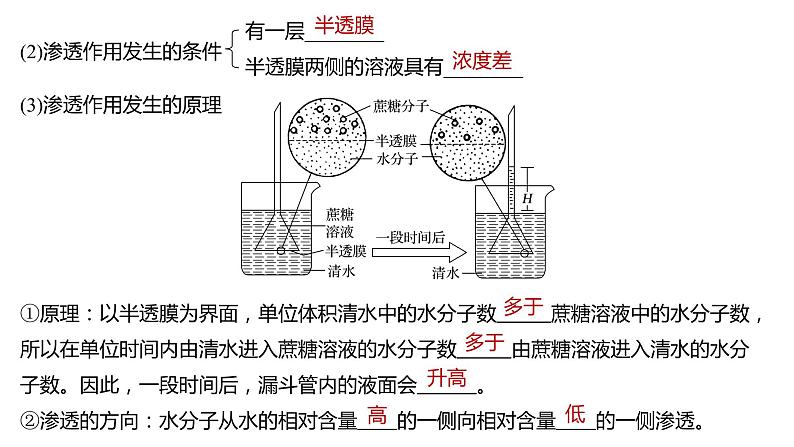 2020年高中生物新教材同步必修第一册 第4章 第1节　被动运输课件PPT07