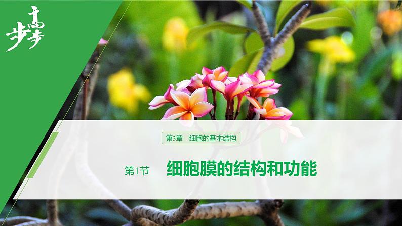 2020年高中生物新教材同步必修第一册 第3章 第1节　细胞膜的结构和功能课件PPT第1页