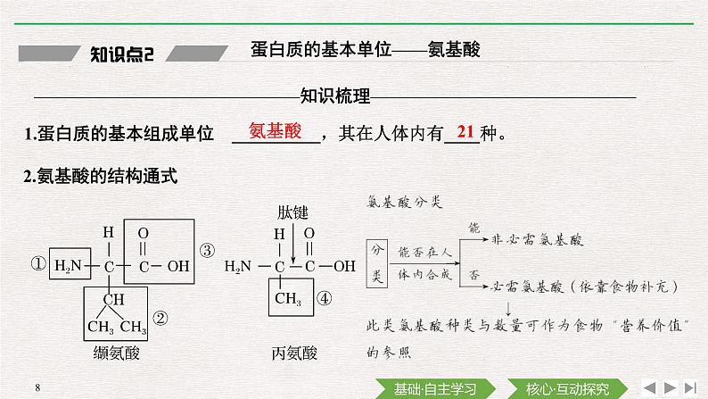 第4节　蛋白质是生命活动的主要承担者课件PPT08